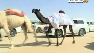 #جديد_الساحة | الرهيبة - فردية | سعادة حمد مبارك بن عثعيث العامري