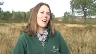 Kate Ponting - Clinton Devon Estates new Countryside Learning Officer