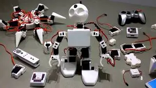 EZ Robot Revolution