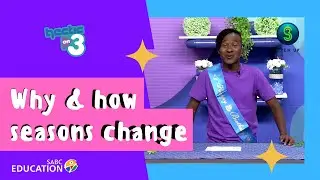 Why and how seasons change || Hectic On 3