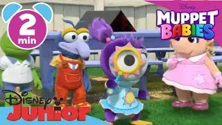 Muppet Babies | Summer Penguin P.I. | Clip