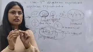 class 7th ch 12 algebraic expression