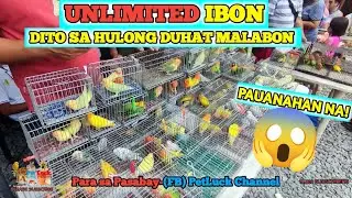 LOVEBIRDS UPDATE SA HULONG DUHAT MALABON