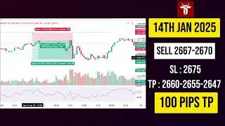 Weekly Premium Signal Report (13th to 17th January 2025) by #TalhaTradingWala #letsgrowtogether