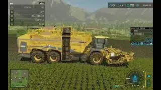 FS22 - AutoDrive - ROPA Tiger 6S & Deutz Fahr Series 9 TTV Load,Transport Sugar Beet @ Waldstetten