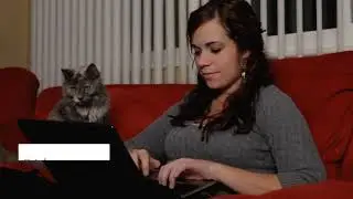 Post Move Tips for Cats Owners