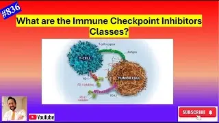 Immune Checkpoint inhibitors classes!