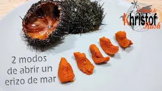 C&oacute;mo abrir un ERIZO DE MAR ✅2 MODOS muy F&Aacute;CILES✅