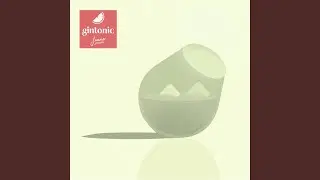Gin Tonic