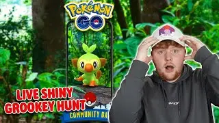 SHUNDO Hunting during Grookey Community day!