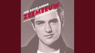 Zeemeeuw