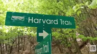1-minute hike: Noyes Mountain in Greenwood