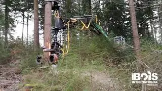 Impex Hannibal T50 : un concept atypique pour récolter des gros bois sans abîmer les semis
