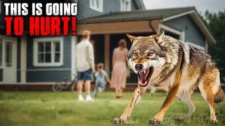 These Are The Protective Family and Home Dogs That Train Themselves!