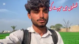 Village Main Faslun Ki Dekh Bhaal aur SprayA |faani vlogs 