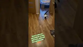 Стэтхэм о работе 🐈&zwj;⬛😻❤️&zwj;🔥 #memes #видосыоткота #cat #кот #популярное #recommendations #mem #мемас