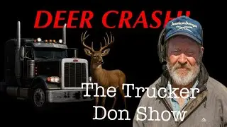 Semi Truck Deer Crash! | how well does a big truck stand up to a deer hit?