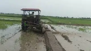 MANI GOLD 369 ridge plaster works at fully wet fields. any enquiries please contact 9966744977.
