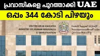 പ്രവാസികളെ പുറത്താക്കി UAE | ഒപ്പം 344 കോടി പിഴയും | VISA FRAUD FOUND IN UAE | UAE LABOUR MINISTRY