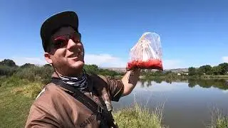 Bass/Kurper Fishing with one of my subscribers Duncan (Kroondal Bass Fishing)