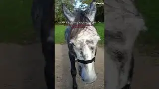 est ce que un jour on vas en finir