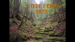 Compilation piège photo, Ardèche et Drôme