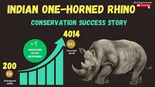 Great Indian Rhinoceros 4014 📈| A Conservation Success Story | Rhino Day -Latest update