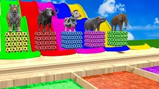 Long Slide Game With Elephant Gorilla Buffalo Hippopotamus Tiger 3d Animal Game Funny 3d Animals