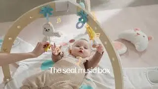 Snuggle Bear Activity Gym
