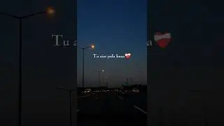 Rula ke gaya ishq tera 😢💔 |#Song #love #emotion #nightvibes #roohedaari 🥺🥹🥀