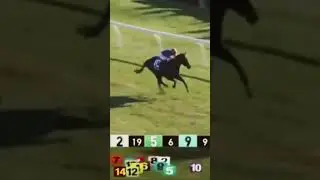 Champion MEDITATE! Juvenile Fillies Turf (G1) 2022