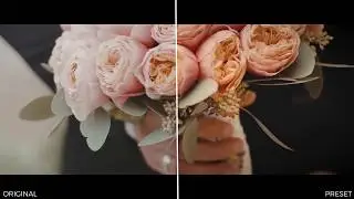 Wedding Color Presets (Premiere Pro)