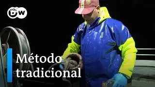 Disputa da pesca do polvo em Portugal