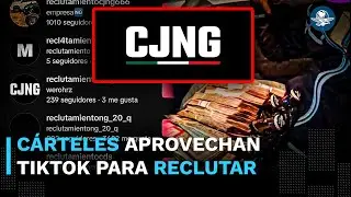 Así reclutan a jóvenes en TikTok; cárteles prometen dinero fácil