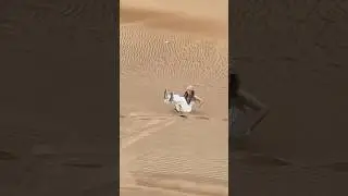 Dubai Desert Sandboarding 😍🥰🏜️ | Thrill Ride on the Dunes #dubaivibes #shorts #desertfun #foryou