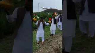 Hazara Culture #hazaradance #hazaraculture #hazara #tanawal #yshort