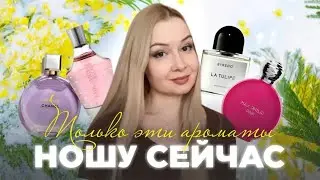 ТОЛЬКО ЭТИ АРОМАТЫ НОШУ СЕЙЧАС💐💞✨
