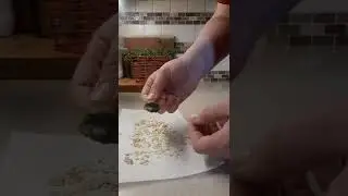 СОХРАНЕНИЕ СЕМЯН ПЕРЦА | САДОВО-ОГОРОДНЫЙ СЕЗОН | БЕЗ ПОТЕРЬ ПЕРЦА | КИРСТИ ПИКЕНС