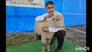 India's first gene edited sheep (Science and tech. ) #upsc #facts #science #upscmotivation #study