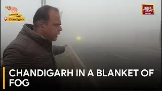 Severe Fog Hits Chandigarh: Visibility Drops, Traffic Moves Slowly on Mohali Highway | India Today