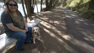 Biscuit the Beagle - walk at the river