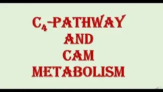 |C4 Pathway |and |CAM Metabolism | HPU BSc 2nd Year