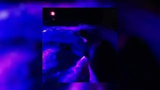 FRENCH POLICE - &iquest;D​&Oacute;​NDE EST&Aacute; DANIEL? [OFFICIAL AUDIO]