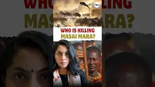 Masai Mara Is Being Destroyed?