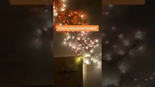 Cherry blossom led lights to brighten your space #cherryblossom #led