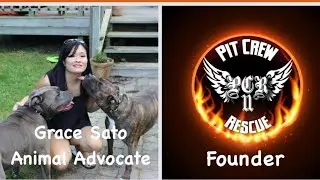 Myths & Facts On Pit Bulls with  Grace Sato