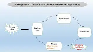 CHRONIC KIDNEY DISEASE IN CHILDREN
