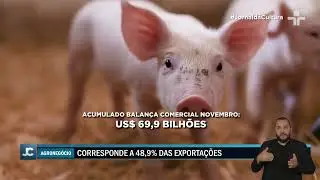 Agroneg&oacute;cio IMPULSIONA exporta&ccedil;&otilde;es brasileiras, mas participa&ccedil;&atilde;o da CHINA recua