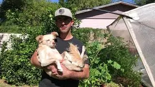 Vegepod tour and review