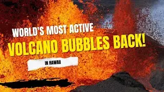 World's most active volcano bubbles back to life in Hawaii